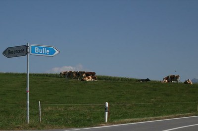 [WAVE'20] Bulle